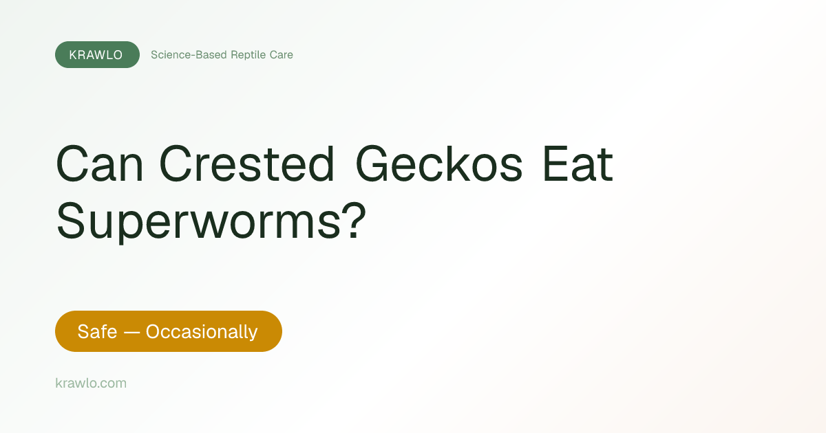 Can Crested Geckos Eat Superworms? Safety, Prep & Frequency | Krawlo